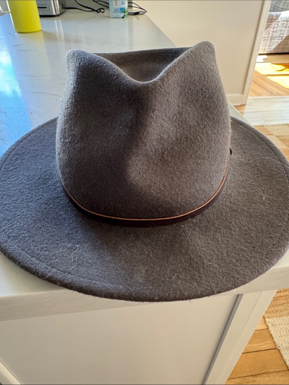 Women's Wool Felt Fedora Hat - Brown/ green